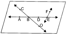 NCERT Solutions for Class 6 Maths Chapter 4 Basic Geometrical Ideas 2